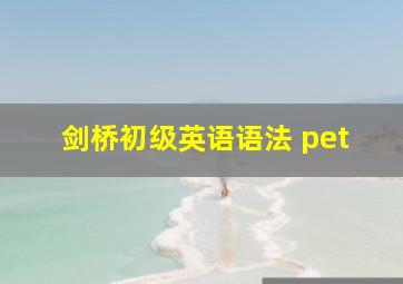 剑桥初级英语语法 pet